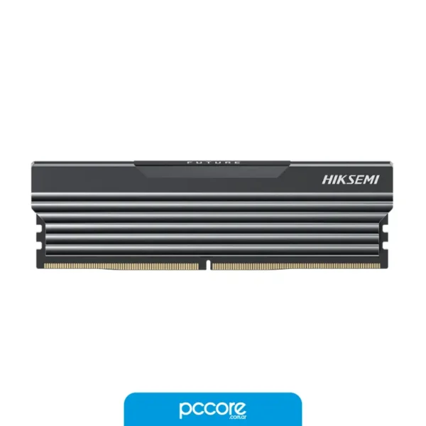 Ram DDR4 16GB Future