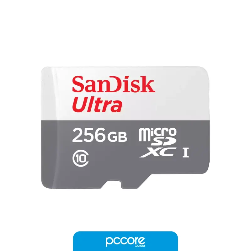 256SDXC